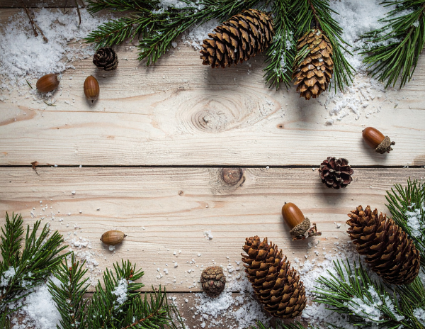 The 12 days of Skinmas